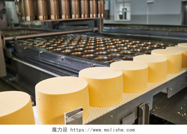 制作奶制品加工厂的流水线工业奶酪生产。乳品行业